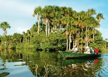 Descubra o passeio 3D2N pela selva de Tambopata
