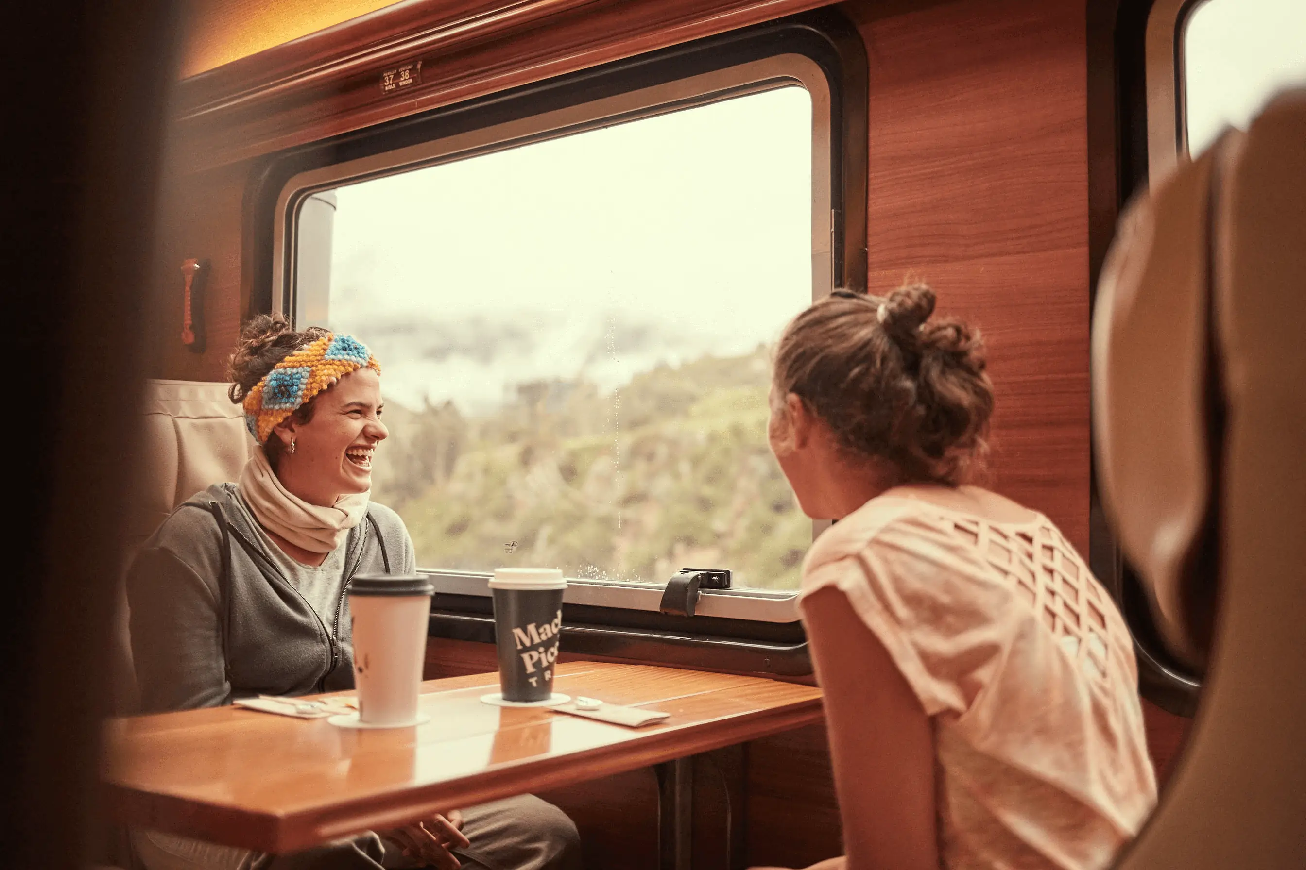 machupicchu train types the voyager